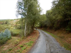 DSCN6993 DSCN6993