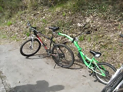 R0012384 R0012384