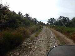 DSCN9571 DSCN9571