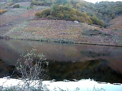 DSCN6491 DSCN6491