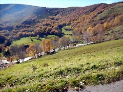 DSCN9129 DSCN9129