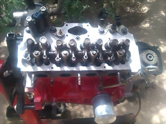 IMAG0429