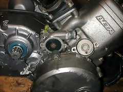 DSCN3489 DSCN3489