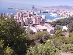 IMAG0038