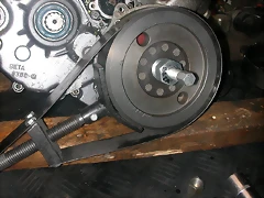 DSCN3494 DSCN3494