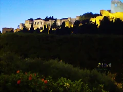 IMAG0029