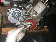 DSCN3498 DSCN3498