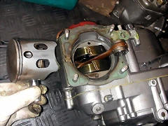 DSCN3529 DSCN3529