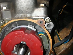 DSCN3504 DSCN3504