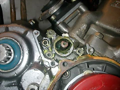 DSCN3500 DSCN3500
