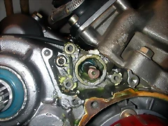 DSCN3502 DSCN3502