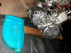 DSCN3485 DSCN3485