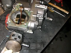 DSCN3528 DSCN3528