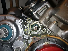 DSCN3499 DSCN3499