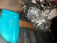 DSCN3484 DSCN3484