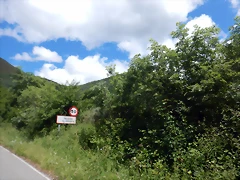 DSCN3096 DSCN3096