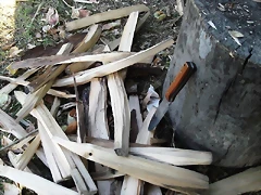 DSCF0974 DSCF0974