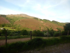 DSCN2137 DSCN2137