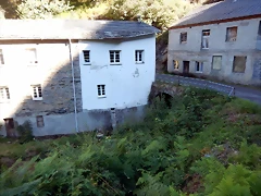 DSCN0114 DSCN0114