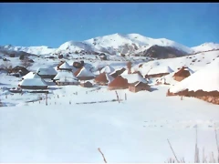 DSCN4075'6 DSCN4075'6