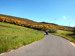 DSCN2159 DSCN2159