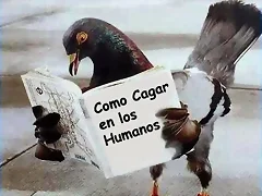 jeee nunca les paso??? jeee nunca les paso???