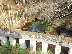 DSCN9336 DSCN9336
