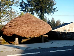 DSCN6279 DSCN6279