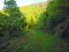 DSCN2089 DSCN2089