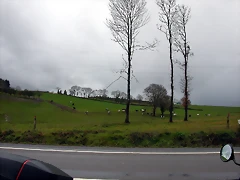 DSCN7438 DSCN7438