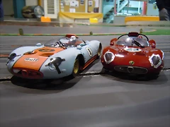 DSCN2231 DSCN2231
