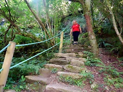DSCN0667 DSCN0667