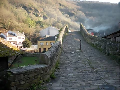 DSCN2537 DSCN2537