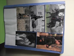 DSCF0522 DSCF0522