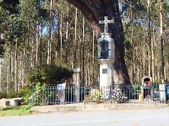 DSCN0091 DSCN0091