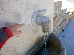 DSCN2352 DSCN2352