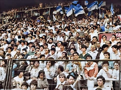 colorized-image (1)