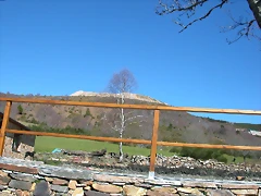 DSCN7961 DSCN7961