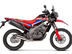 CRF300 Hawk