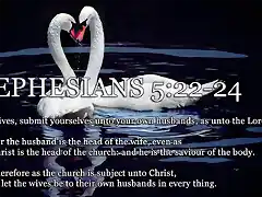 Ephesians-5-22-24