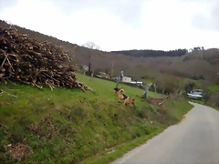 DSCN8963 DSCN8963