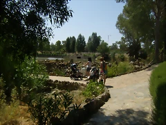 P7020038 P7020038