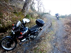 DSCN2949 DSCN2949