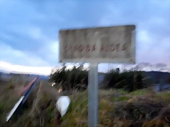 DSCN9700 DSCN9700