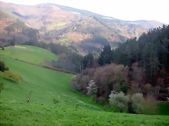 DSCN6182 DSCN6182