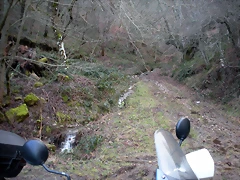 DSCN2837 DSCN2837