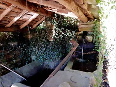 DSCN9378
