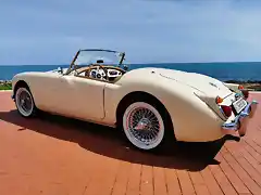 mga-top