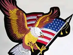 eagle-flag