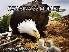 403934870_917081883084506_4996733450641979885_n (1) 403934870_917081883084506_4996733450641979885_n (1)